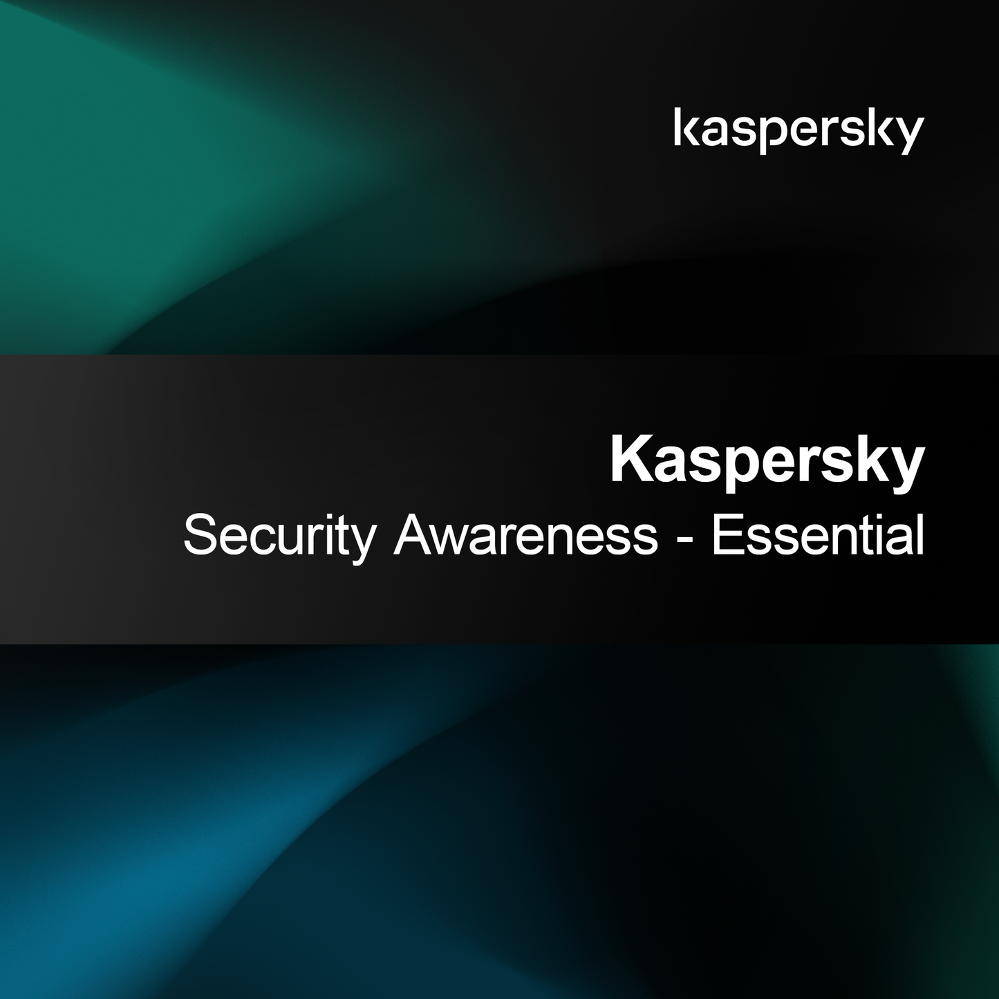 Kaspersky Güvenlik Farkındalığı - Temel