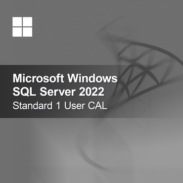 Microsoft SQL Server 2022 Standard 1 Kullanıcı CAL