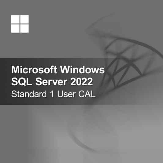 Microsoft SQL Server 2022 Standard 1 Kullanıcı CAL