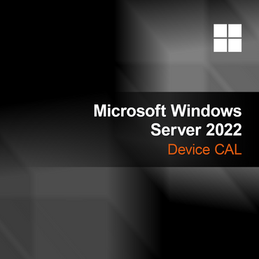 Microsoft Windows Server 2022 Cihaz CAL