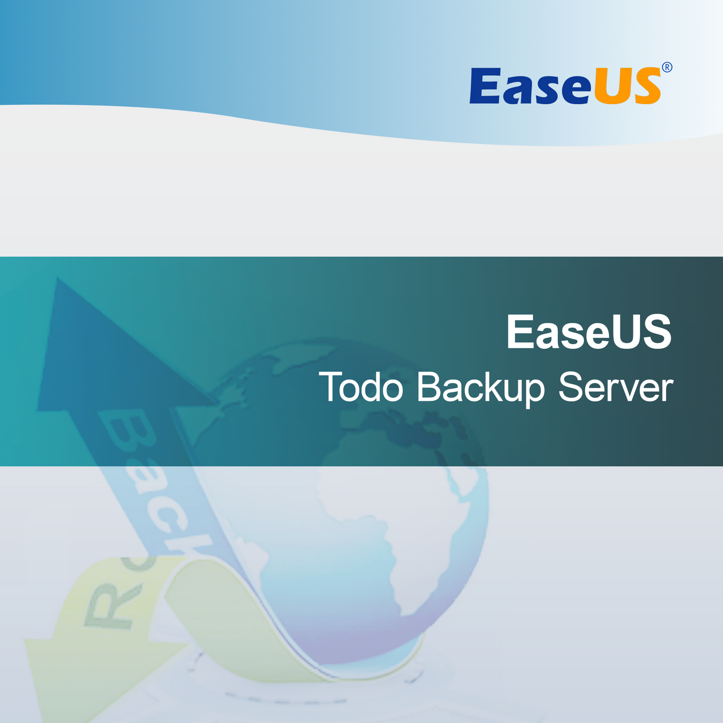 EaseUS Todo Backup Sunucu