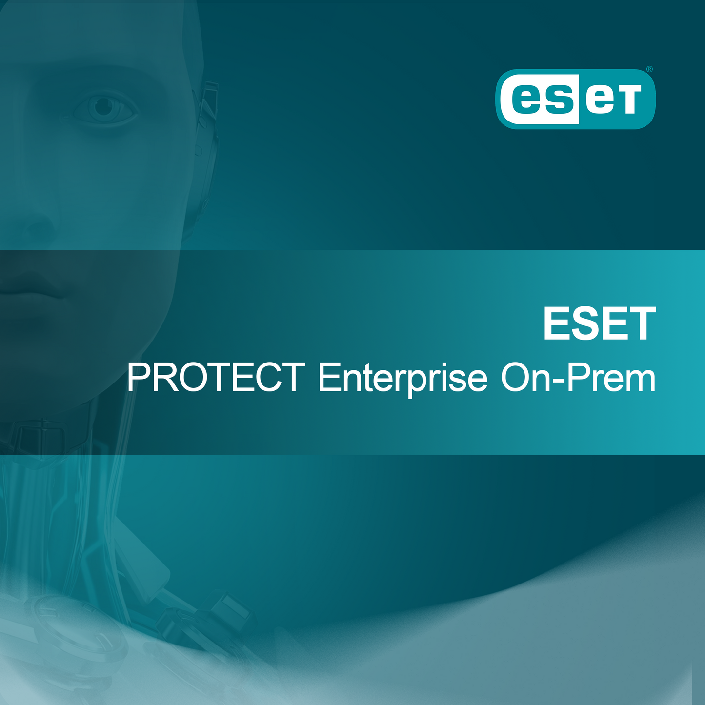 ESET PROTECT Enterprise Yerinde
