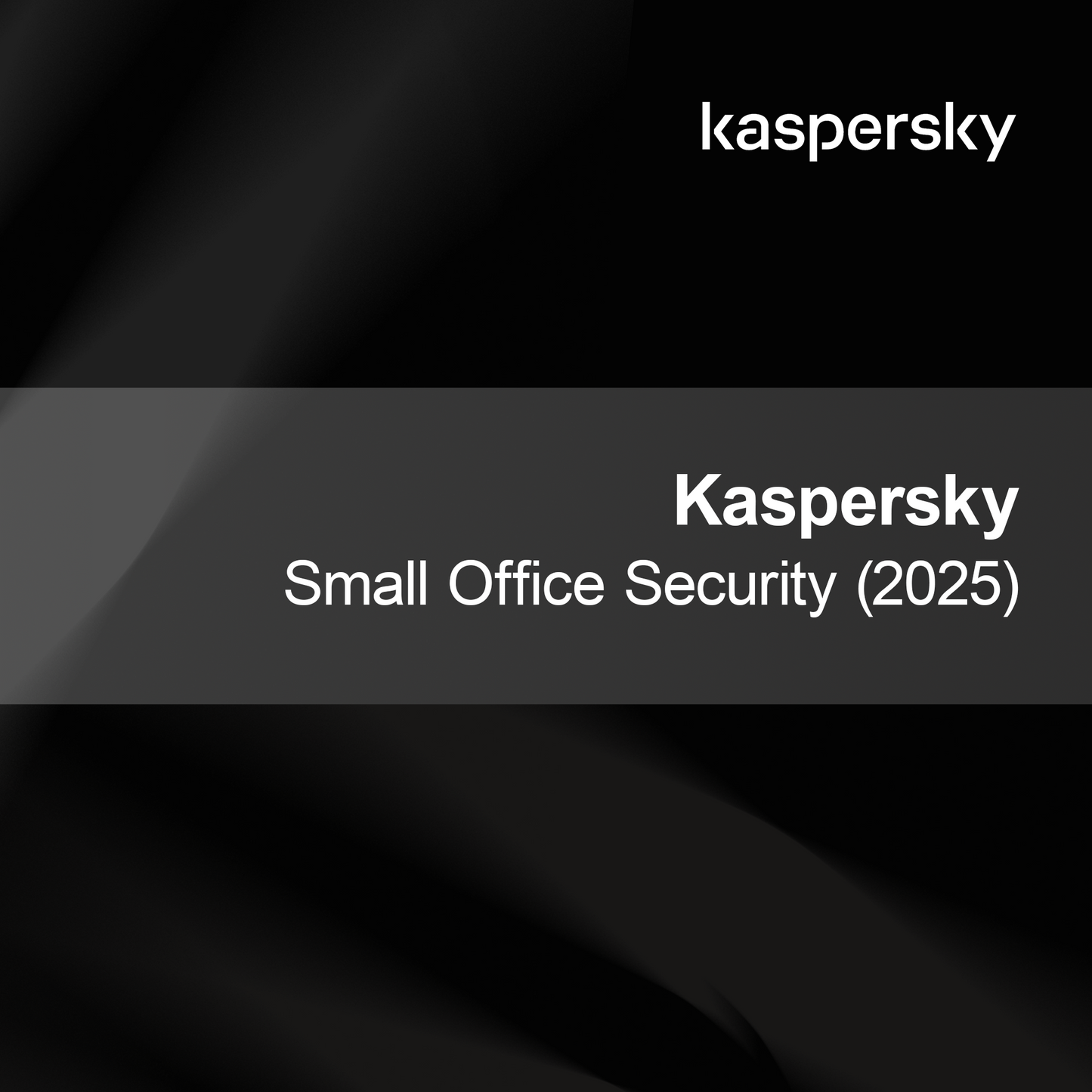 Kaspersky Küçük Ofis Güvenliği (2025)