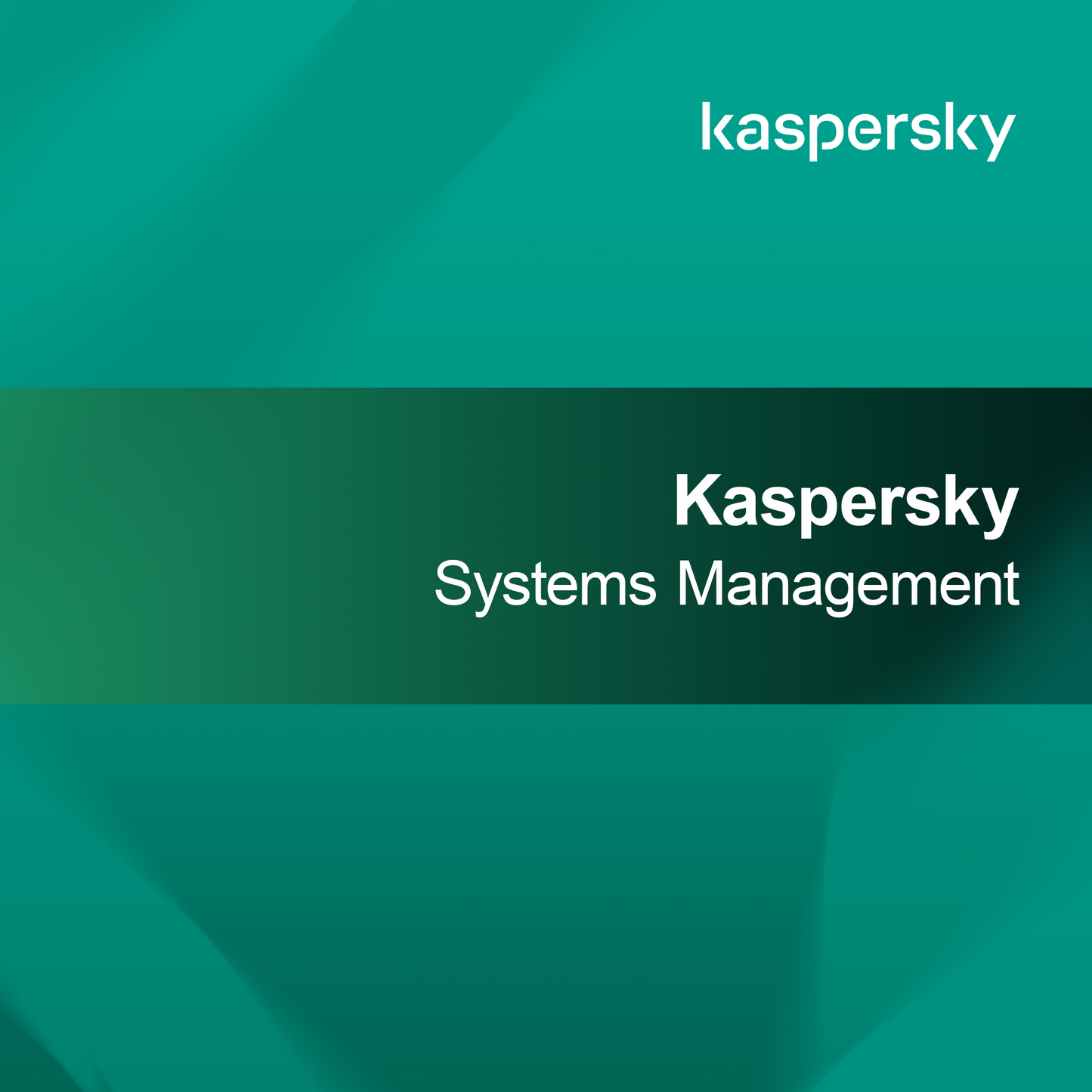 Kaspersky Sistem Yönetimi