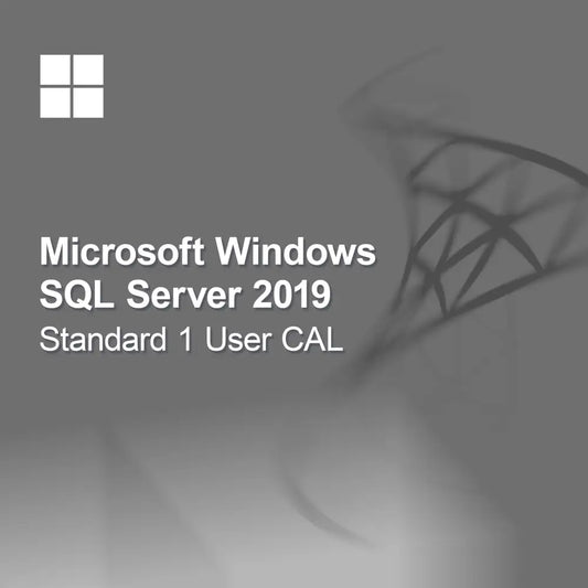 Microsoft SQL Server 2019 Standard 1 Kullanıcı CAL