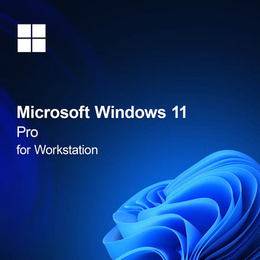 Microsoft Windows 11 Pro İş İstasyonu için