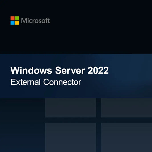 Windows Server 2022 Dış Bağlayıcı
