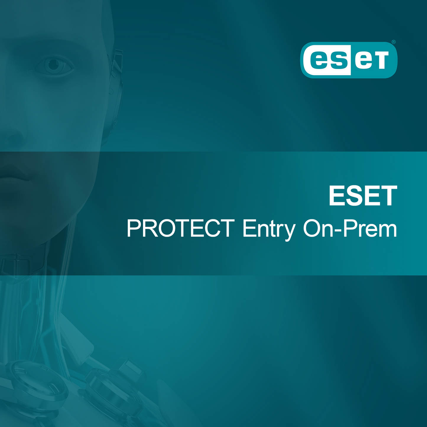 ESET PROTECT Entry Yerinde