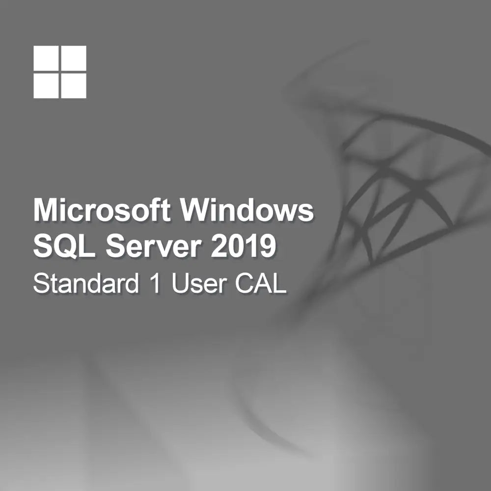 Microsoft SQL Server 2019 Standard 1 Kullanıcı CAL