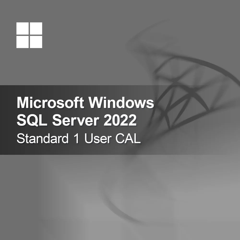 Microsoft SQL Server 2022 Standard 1 Kullanıcı CAL