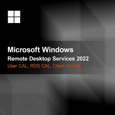 Microsoft Windows Uzaktan Masaüstü Hizmetleri 2022, Kullanıcı CAL, RDS CAL, İstemci Erişim Lisansı
