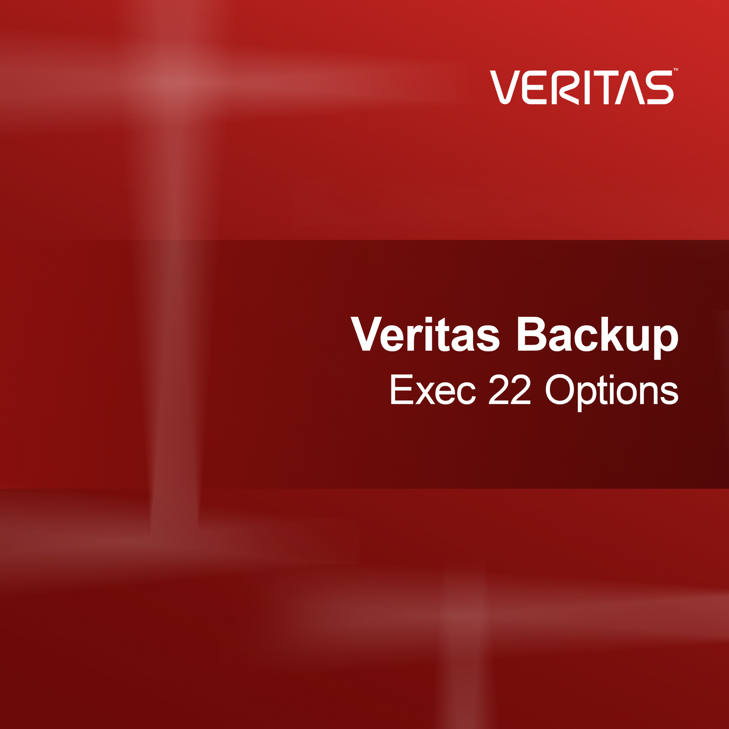 Veritas Backup Exec 22 Seçenekleri